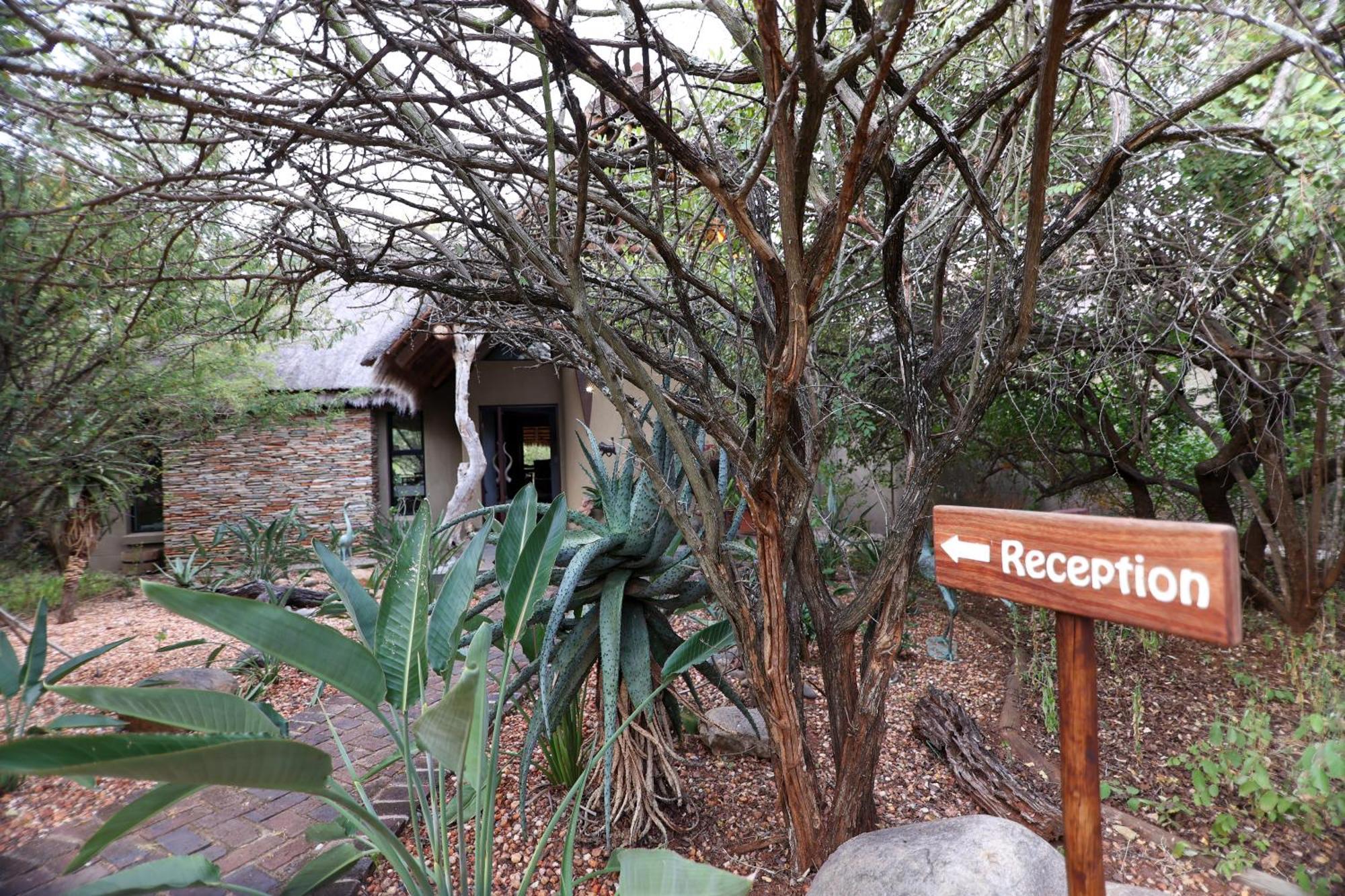 Call Of The Wild Lodge Hoedspruit Eksteriør billede