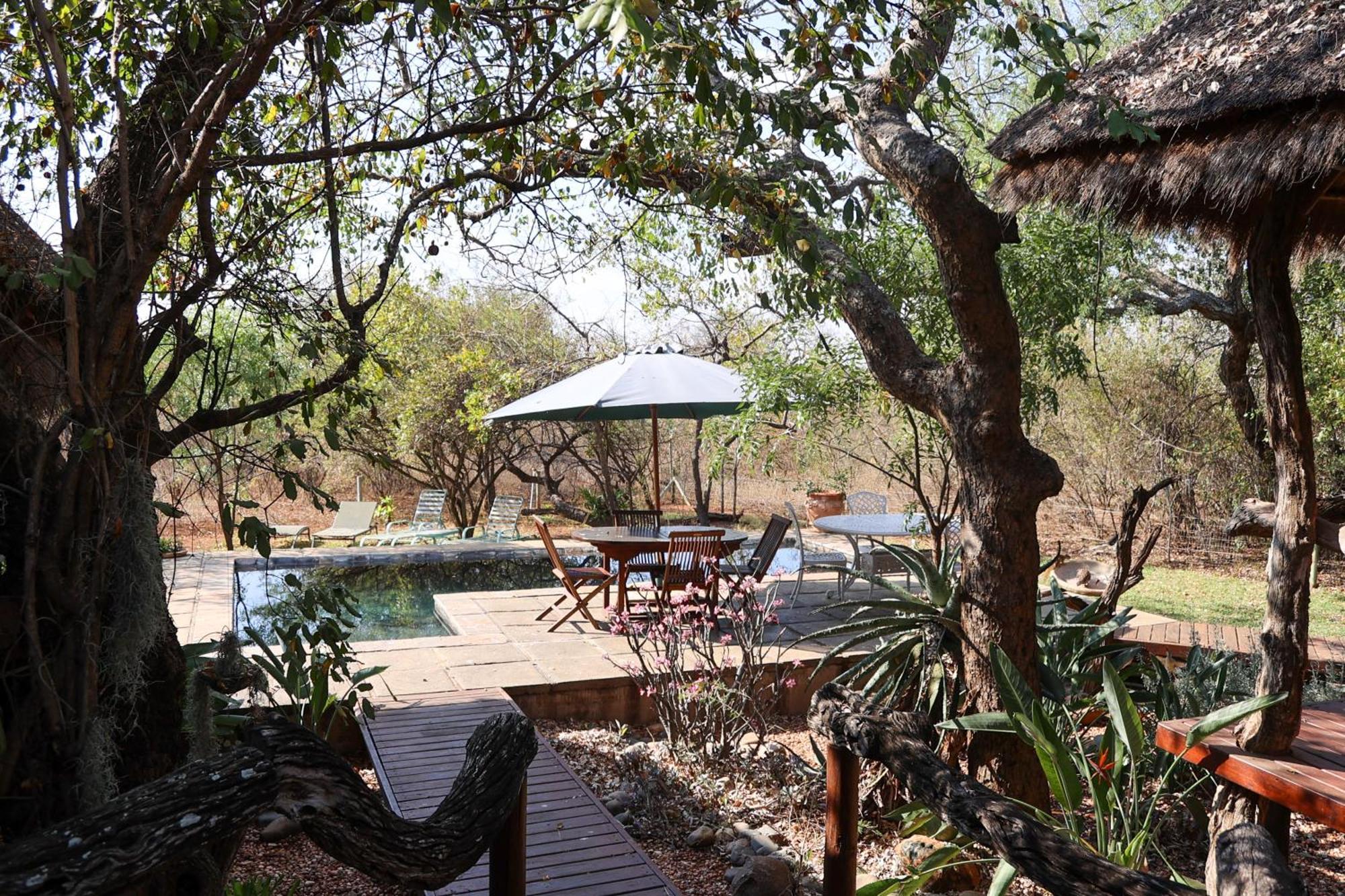 Call Of The Wild Lodge Hoedspruit Eksteriør billede