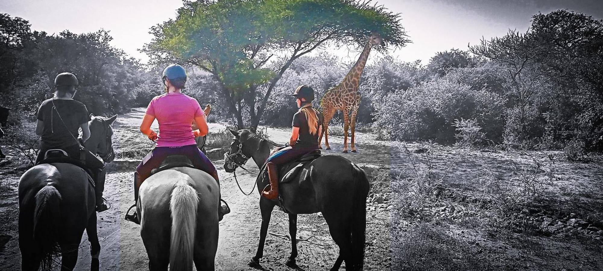Call Of The Wild Lodge Hoedspruit Eksteriør billede